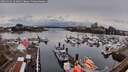 ./images/victoria/wharf/20260324/wharf20260324_124001M.jpg