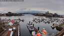 ./images/victoria/wharf/20260324/wharf20260324_125501M.jpg
