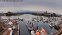 ./images/victoria/wharf/20260324/wharf20260324_131001M.jpg