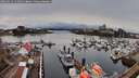 ./images/victoria/wharf/20260324/wharf20260324_131501M.jpg