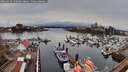 ./images/victoria/wharf/20260324/wharf20260324_132002M.jpg