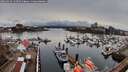 ./images/victoria/wharf/20260324/wharf20260324_134501M.jpg