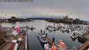 ./images/victoria/wharf/20260324/wharf20260324_140001M.jpg