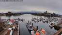./images/victoria/wharf/20260324/wharf20260324_141002M.jpg