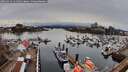 ./images/victoria/wharf/20260324/wharf20260324_141502M.jpg
