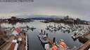 ./images/victoria/wharf/20260324/wharf20260324_142002M.jpg