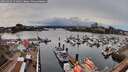 ./images/victoria/wharf/20260324/wharf20260324_151001M.jpg