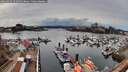 ./images/victoria/wharf/20260324/wharf20260324_151501M.jpg