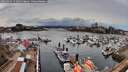./images/victoria/wharf/20260324/wharf20260324_152002M.jpg
