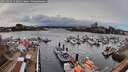 ./images/victoria/wharf/20260324/wharf20260324_153002M.jpg
