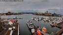 ./images/victoria/wharf/20260325/wharf20260325_082001M.jpg