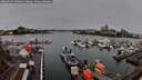 ./images/victoria/wharf/20260325/wharf20260325_094001M.jpg