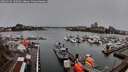 ./images/victoria/wharf/20260325/wharf20260325_100501M.jpg