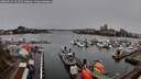 ./images/victoria/wharf/20260325/wharf20260325_101501M.jpg