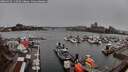 ./images/victoria/wharf/20260325/wharf20260325_110501M.jpg