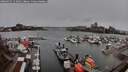 ./images/victoria/wharf/20260325/wharf20260325_111001M.jpg