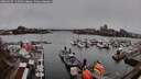 ./images/victoria/wharf/20260325/wharf20260325_112501M.jpg