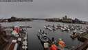 ./images/victoria/wharf/20260325/wharf20260325_115002M.jpg