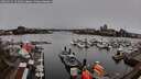./images/victoria/wharf/20260325/wharf20260325_121001M.jpg