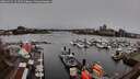 ./images/victoria/wharf/20260325/wharf20260325_121501M.jpg