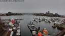 ./images/victoria/wharf/20260325/wharf20260325_122501M.jpg