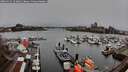 ./images/victoria/wharf/20260325/wharf20260325_123001M.jpg