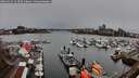 ./images/victoria/wharf/20260325/wharf20260325_123501M.jpg