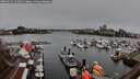 ./images/victoria/wharf/20260325/wharf20260325_124001M.jpg