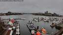 ./images/victoria/wharf/20260325/wharf20260325_124502M.jpg