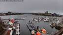 ./images/victoria/wharf/20260325/wharf20260325_130501M.jpg
