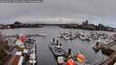 ./images/victoria/wharf/20260325/wharf20260325_132001M.jpg