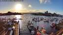 ./images/victoria/wharf/20260325/wharf20260325_182501M.jpg