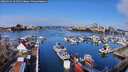 ./images/victoria/wharf/20260326/wharf20260326_101501M.jpg