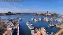 ./images/victoria/wharf/20260326/wharf20260326_124502M.jpg