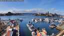 ./images/victoria/wharf/20260326/wharf20260326_142501M.jpg