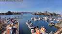 ./images/victoria/wharf/20260327/wharf20260327_134501M.jpg