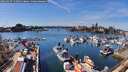 ./images/victoria/wharf/20260327/wharf20260327_143501M.jpg