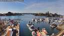 ./images/victoria/wharf/20260327/wharf20260327_152001M.jpg