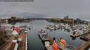 ./images/victoria/wharf/20260328/wharf20260328_091501M.jpg