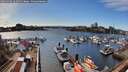 ./images/victoria/wharf/20260328/wharf20260328_161001M.jpg