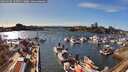 ./images/victoria/wharf/20260328/wharf20260328_163501M.jpg