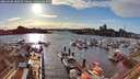 ./images/victoria/wharf/20260328/wharf20260328_180501M.jpg