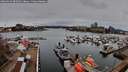 ./images/victoria/wharf/20260329/wharf20260329_085001M.jpg