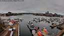 ./images/victoria/wharf/20260329/wharf20260329_091001M.jpg