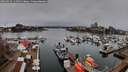 ./images/victoria/wharf/20260329/wharf20260329_114501M.jpg