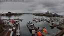 ./images/victoria/wharf/20260329/wharf20260329_131002M.jpg