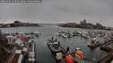 ./images/victoria/wharf/20260329/wharf20260329_134501M.jpg