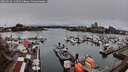 ./images/victoria/wharf/20260329/wharf20260329_144501M.jpg