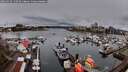 ./images/victoria/wharf/20260329/wharf20260329_150501M.jpg