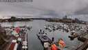 ./images/victoria/wharf/20260329/wharf20260329_154001M.jpg